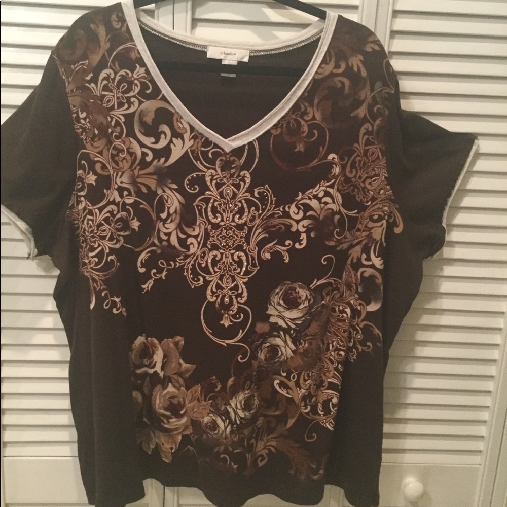 NWOT. Brown/Cream Top by C J Banks